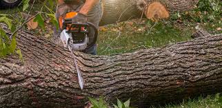 Best Aeration Services  in Putnam Lake, NY